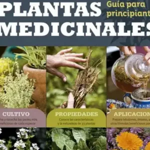 Plantas medicinales