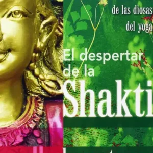 El despertar de la Shakt